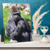 Western laagland gorilla's fotoplaat (Zijkant)