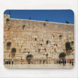 Western Muurmuispad (Jeruzalem, Israël) Muismat