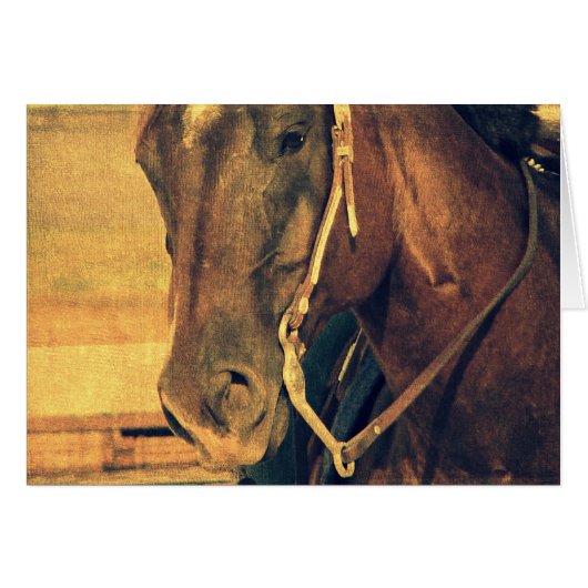 Western paard (Voorkant Horizontaal)