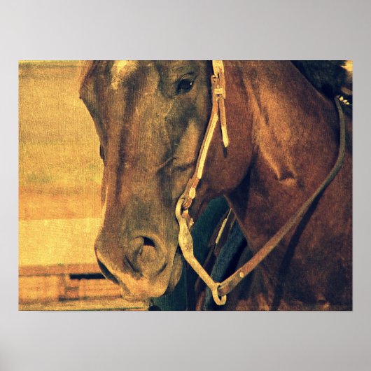 Western paard poster (Voorkant)