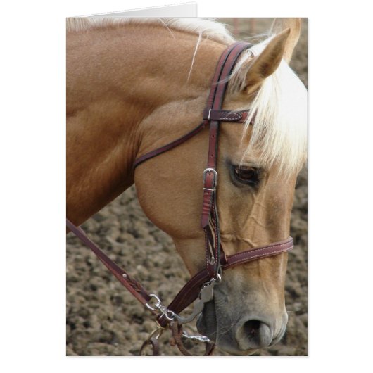 Western Palomino (Voorkant)