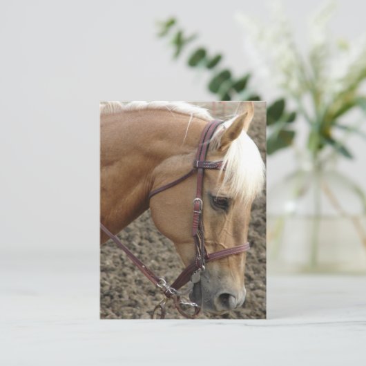 Western Palomino Briefkaart (Staand voorkant)