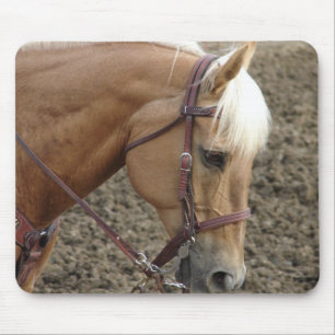 Western Palomino Muismat