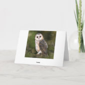 Western Schuur Uil Verjaardag Kaart (Achterkant)