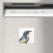 Western Scrub Jay Magnet (In Situ (Lave-vaisselle))