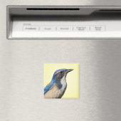 Western Scrub Jay Magnet (In Situ (Lave-vaisselle))