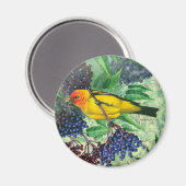 Western Tanager Magnet Magneet (Voorkant / Achterkant)