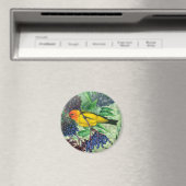 Western Tanager Magnet Magneet (Insitu (Vaatwasser))