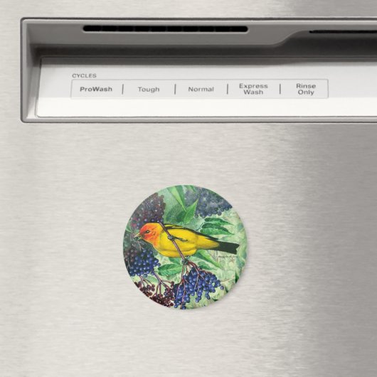 Western Tanager Magnet Magneet (Insitu (Vaatwasser))