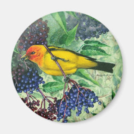 Western Tanager Magnet Magneet