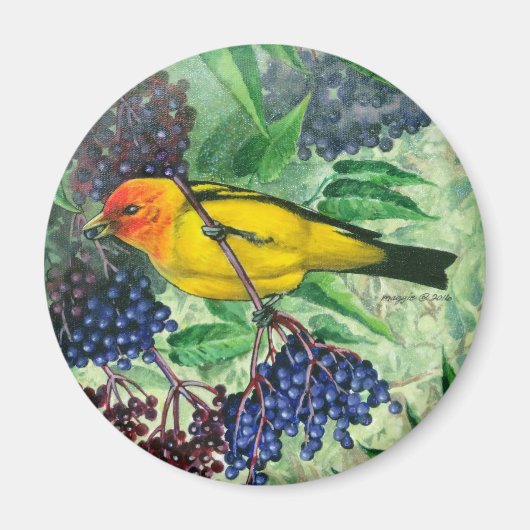Western Tanager Magnet Magneet (Voorkant)