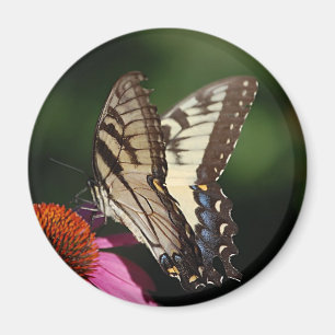 Western Tiger Swallowtail Round Magnet Magneet
