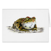 Western Toad Card (Devant Horizontal)