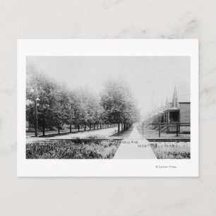 Western Uitzicht Parnell Avenue Briefkaart