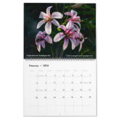 Western Wildflowers 2026 Calendar Kalender (Feb 2026)