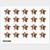 Western Wit Bruin Zwart Koeienhuid Ster Sticker (Vel)