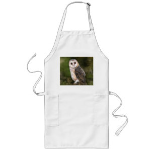 Westerne Barn Owl - Migned Waterverf Painting Art  Lang Schort