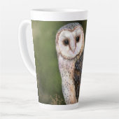 Westerne Barn Owl - Migned Waterverf Painting Art  Latte Mok (Linkerhoek)