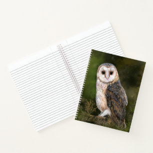 Westerne Barn Owl - Migned Waterverf Painting Art Notitieboek