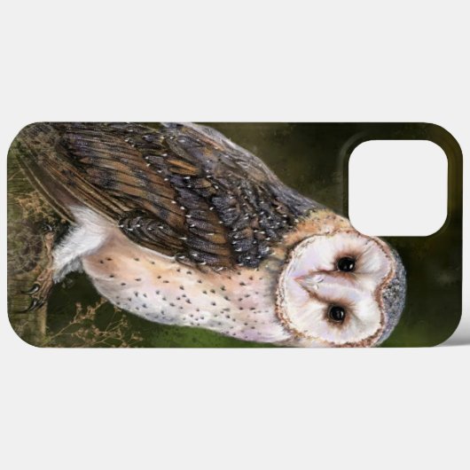 Westerne Barn Owl - Schilderen Case-Mate iPhone Case (Achterkant (horizontaal))
