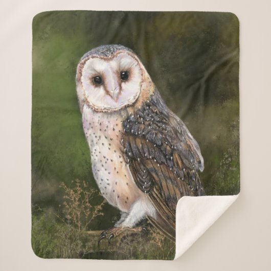 Westerne Barn Owl Sherpa Blanket Sherpa Deken (Voorkant)