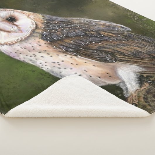 Westerne Barn Owl Sherpa Blanket Sherpa Deken (3/4)