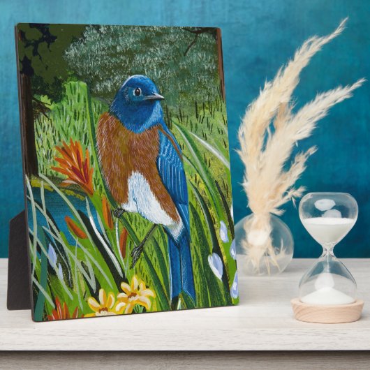 Westerne blauwvogel fotoplaat (Zijkant)