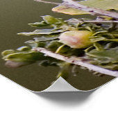 Westerne blauwvogel poster (Hoek)