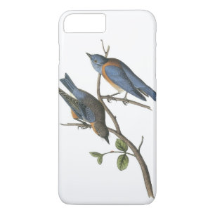 Westerne blauwvogel van Audubon iPhone 8 Plus / 7 Plus Hoesje