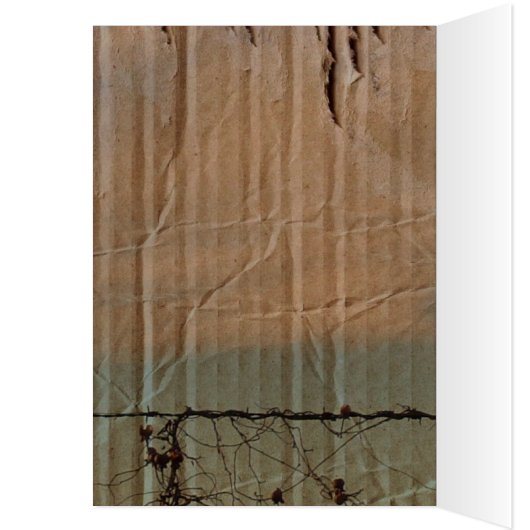 Westerne Boerderij-schuur-bruiloft (Binnen (Links))