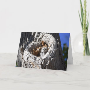 Westerne boomkor in het hart van de boom kaart