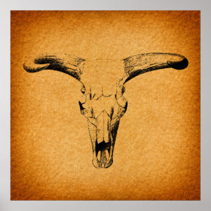 Westerne Bull Horns Poster