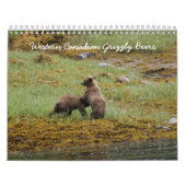 Westerne Canadese Grizzly-Beren Kalender (Hoes)