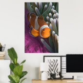 Westerne Clown Anemone Vis Poster (Thuiskantoor)