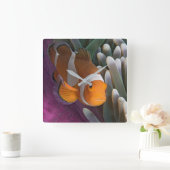 Westerne Clown Anemone Vis Vierkante Klok (Huis)