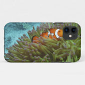 Westerne Clownvis ( Amphiprion ocellaris ) Case-Mate iPhone Case (Achterkant (horizontaal))