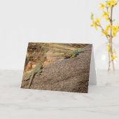 Westerne collared Lizards in Colorado Kaart (Gele Bloem)