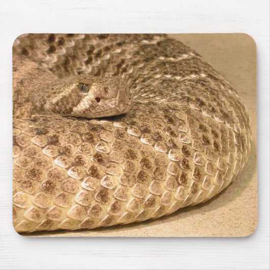 westerne diamondback ratelslang muismat (Voorkant)