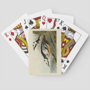 Westerne Duck van Audubon's Birds of America Pokerkaarten