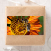 Westerne foto van honingbijen etiket (Insitu)