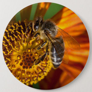 Westerne foto van honingbijen ronde button 6,0 cm