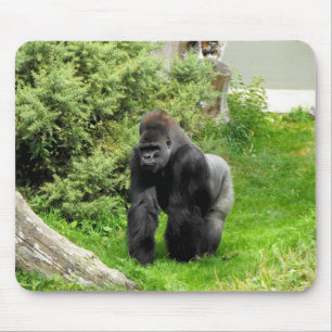 Westerne gorilla van de zijdedoorse mannetjesgoril muismat