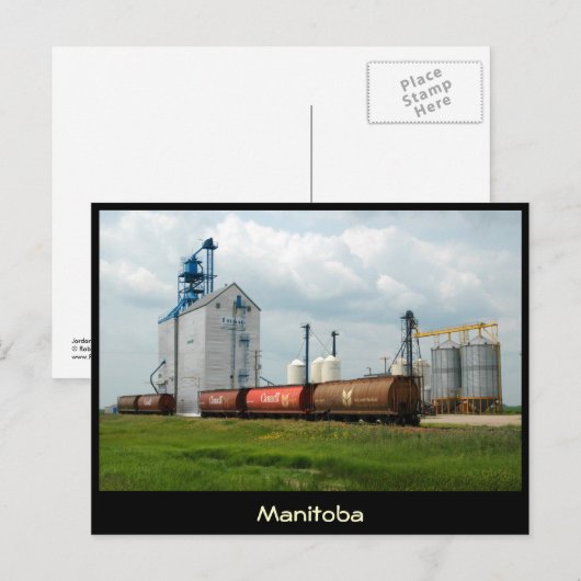 Westerne graan briefkaart (Voorkant / Achterkant)