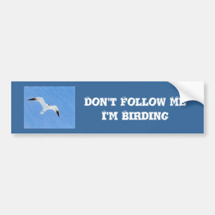 Westerne Grebe Birding Bumpersticker