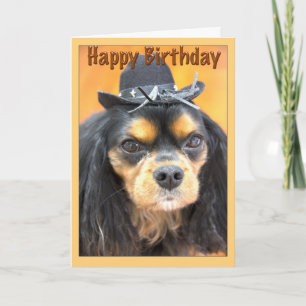 Westerne Happy Birthday Cavalier King Charles Kaart
