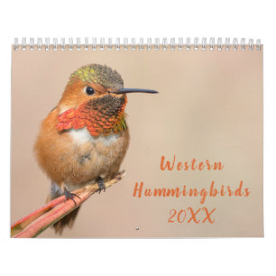 Westerne Hummingvogels Fotografie Kalender