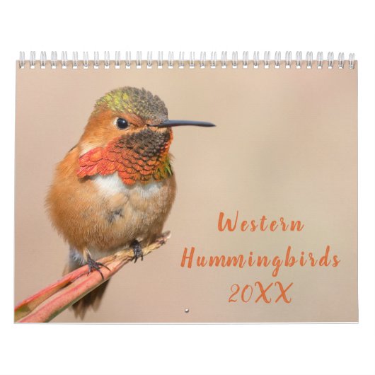 Westerne Hummingvogels Fotografie Kalender (Hoes)