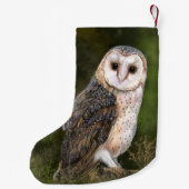 Westerne kerststop voor Barn Owl Kleine Kerstsok (Achterkant)