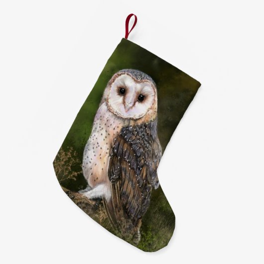 Westerne kerststop voor Barn Owl Kleine Kerstsok (Voorkant (Hangend))