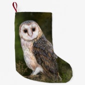 Westerne kerststop voor Barn Owl Kleine Kerstsok (Voorkant)